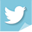Twitter icon
